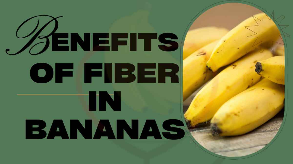 Image showing the benefits of fiber in bananas