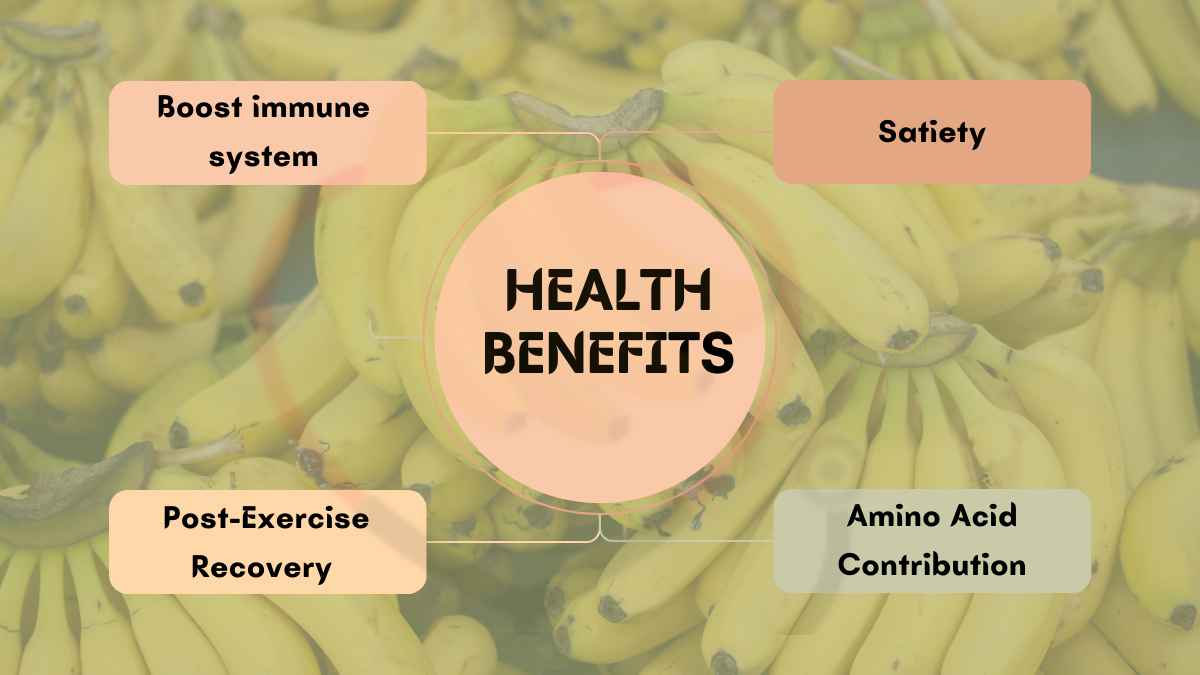 Image showing the Benefits of Protein in Banana