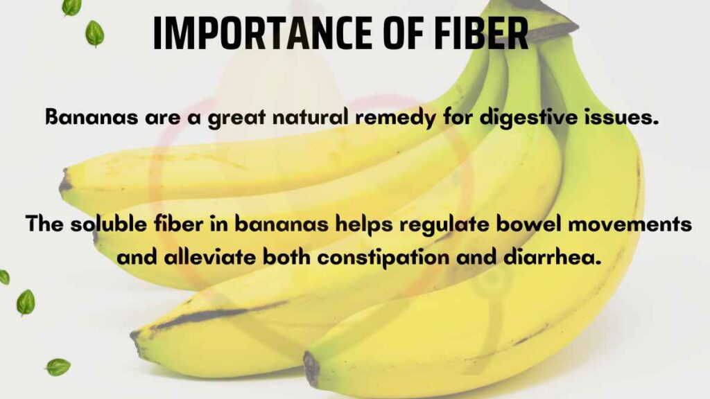 Amazing Benefits of Fiber in Bananas Banana Dose