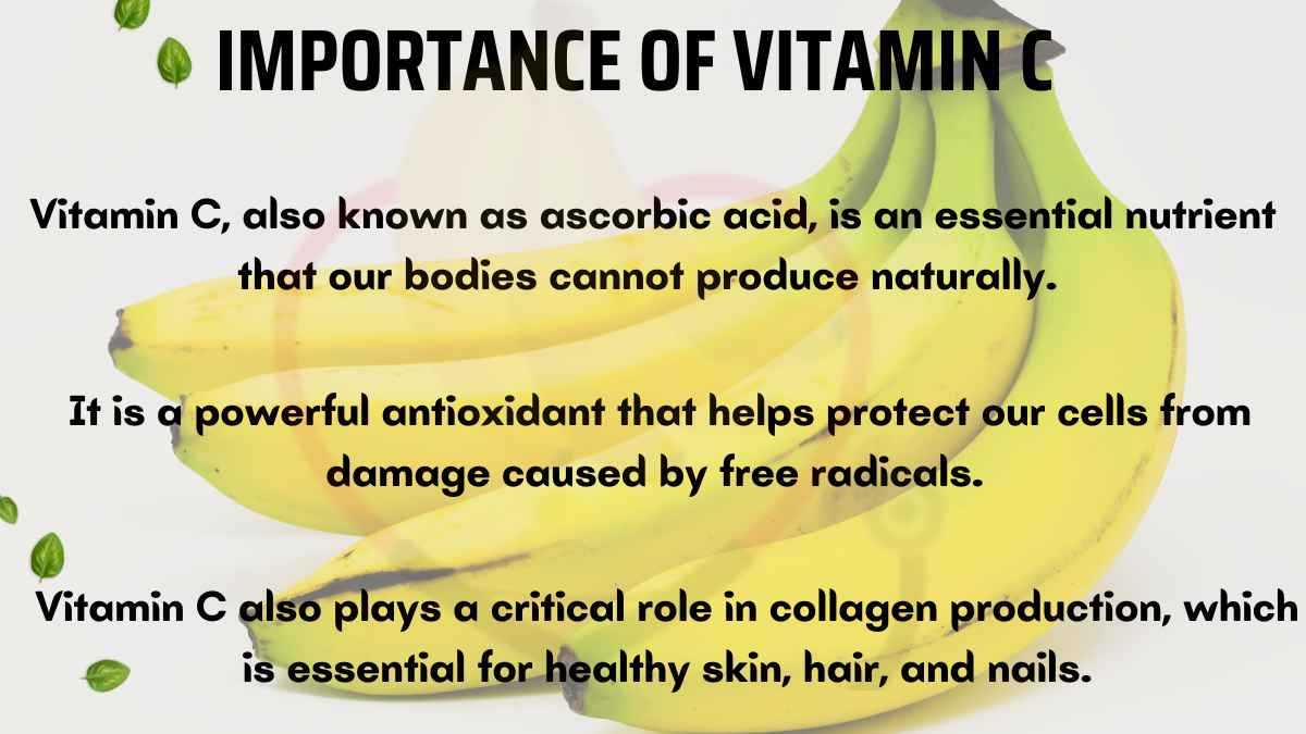 Image showing the Importance of Vitamin C