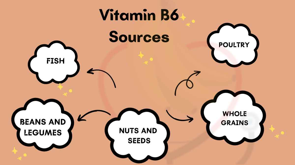 Image showing the Other Sources of Vitamin B6