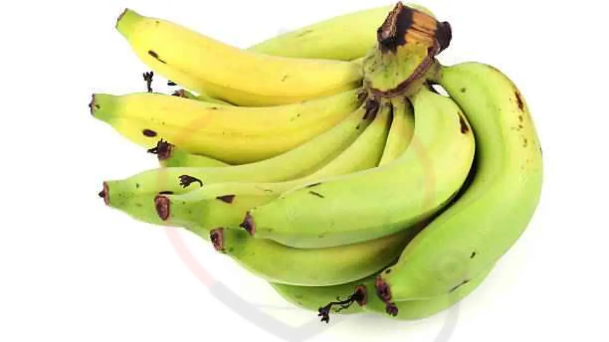 Image showing the Gros Michel Banana