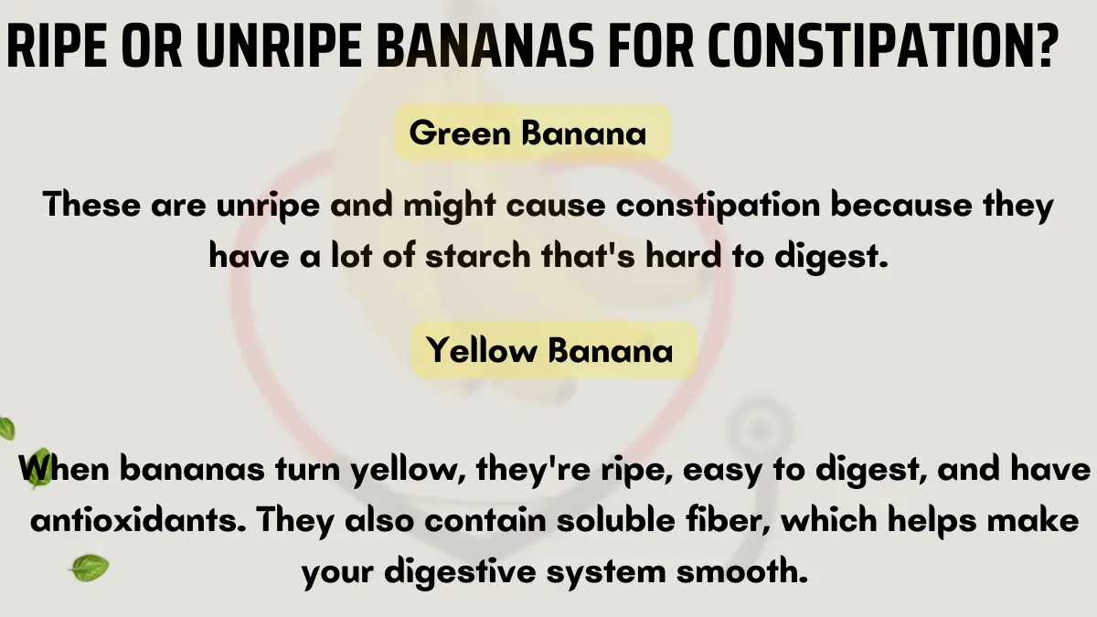 Image showing Ripe or unripe bananas for constipation