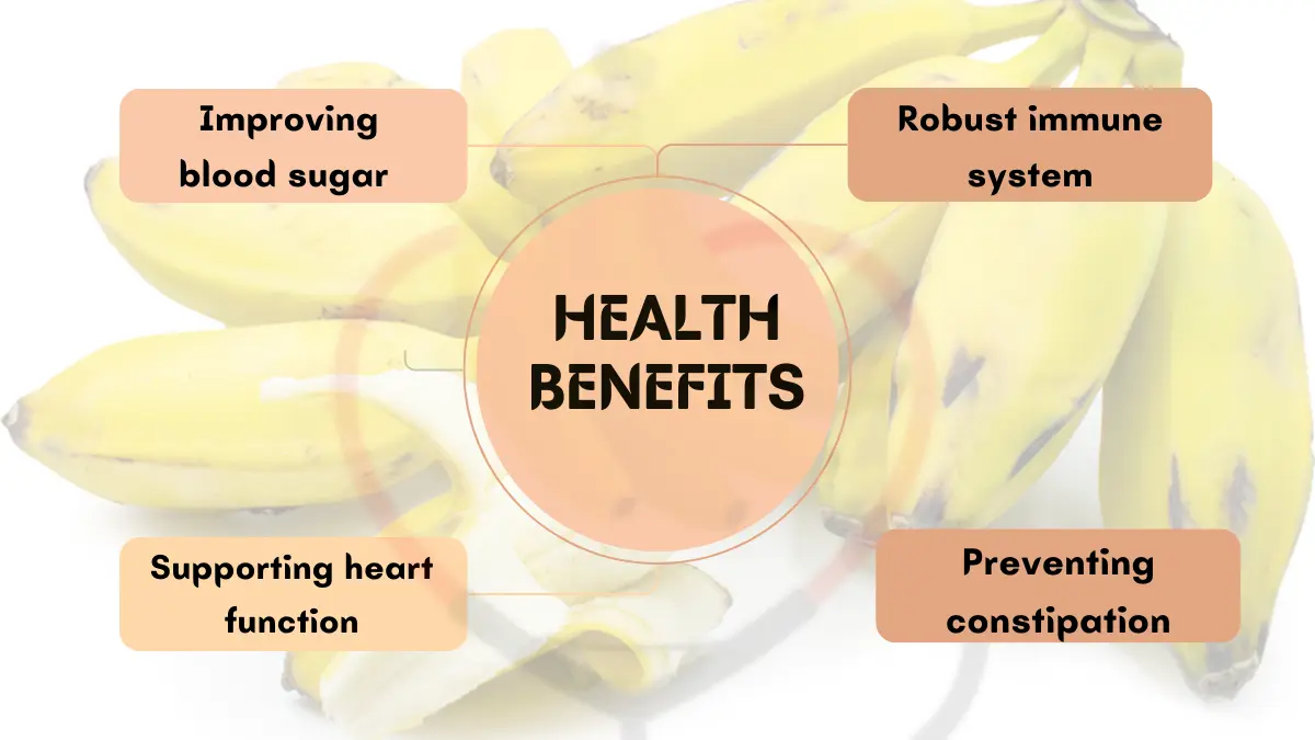 Image showing Health Benefits of Burro Banana